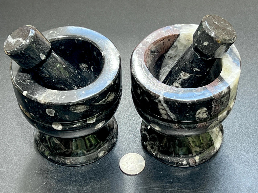 Orthoceras Mortar and Pestle Set (Mortar + Pestle) Polished Black Fossil Stone Carving Grinder Mixer | Home & Living > Kitchen & Dining > Cookware > Cooking Utensils & Gadgets | Wiccan Center