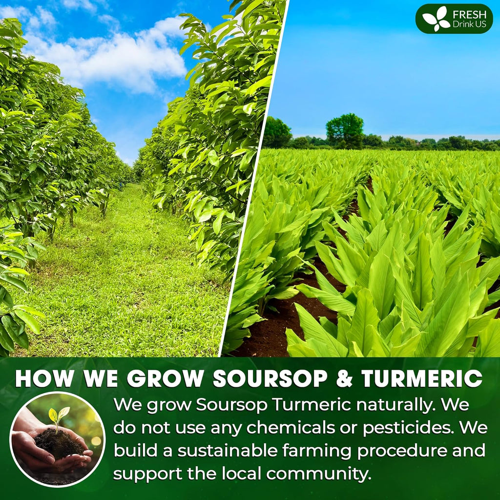 Premium Soursop Turmeric Tea Bags | Blend of Soursop Leaves, and Turmeric Root | Tea | Wiccan Center
