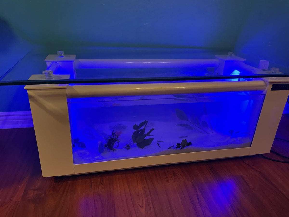 WARRANTY INCLUDED! 45 gallon GLASS rectangle table aquarium fish tank full setup | Pet Supplies > Fish & Aquariums > Aquariums & Tanks | Wiccan Center