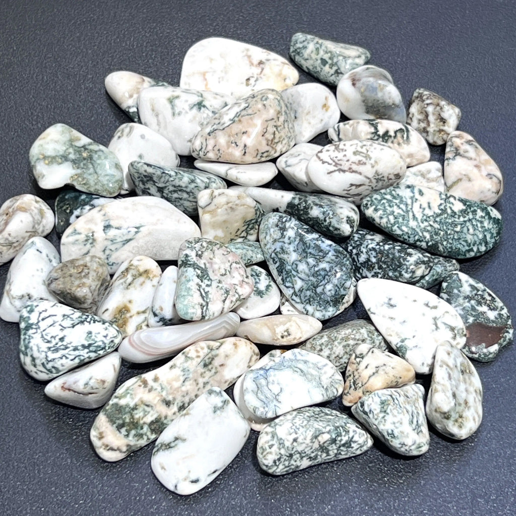 Tree Agate Tumbled Stones (By The Piece Or Pound) Bulk Wholesale Lot Polished Gemstones | Home & Living > Home Decor > Home Accents > Rocks & Geodes | Wiccan Center
