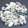 Tree Agate Tumbled Stones (By The Piece Or Pound) Bulk Wholesale Lot Polished Gemstones | Home & Living > Home Decor > Home Accents > Rocks & Geodes | Wiccan Center