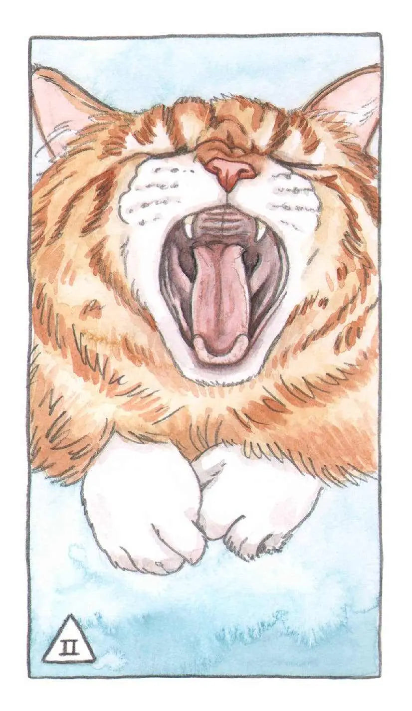 Cat Tarot Deck | Sacred Book Store | Wiccan Center