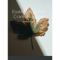 Esoteric Roots of Cranio Practice: Guiding Principles - Hardcover | Books | Wiccan Center