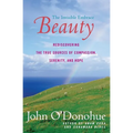 Beauty: The Invisible Embrace - Paperback | Books | Wiccan Center