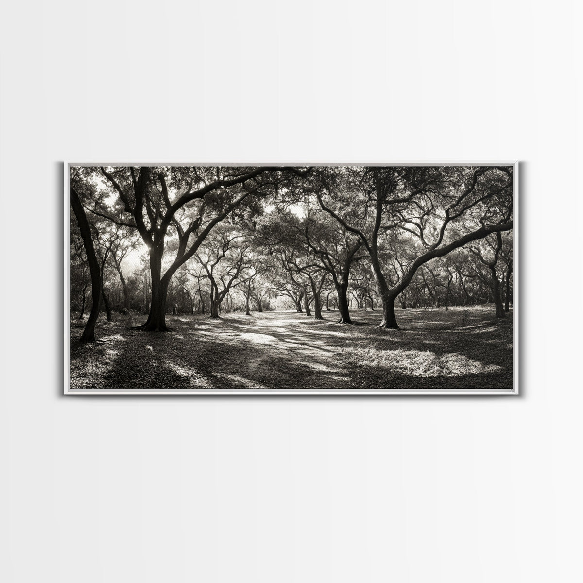 Oak Tree Path, Autumn Forest Glow, Nature Trail Photography, Framed Canvas Print, Hallway Wall Art, Earthy Decor, Woodland Art | | Wiccan Center