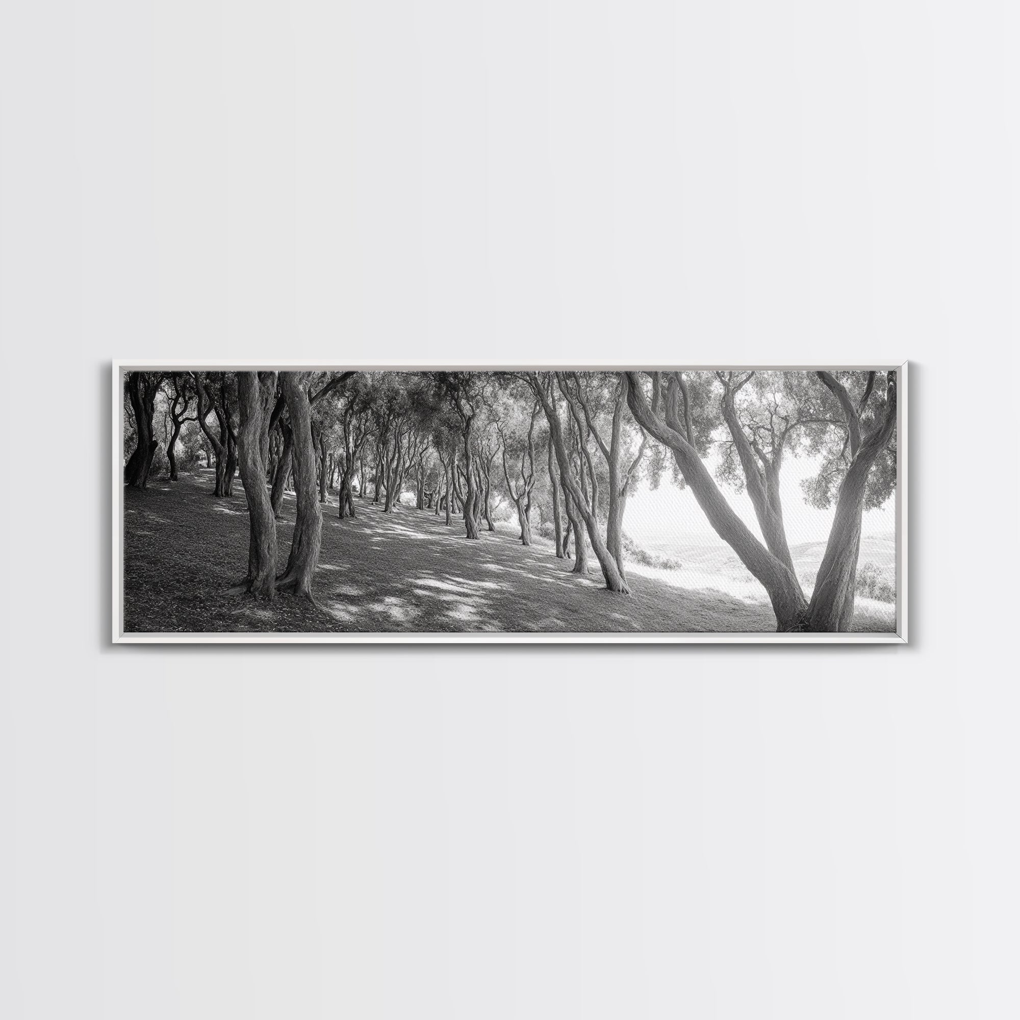 Forest Path, Tree Tunnel, Light Shadows, Woodland Magic, Framed Canvas Print, Nature Lover Gift, Entryway Wall Art, Modern Rustic Style