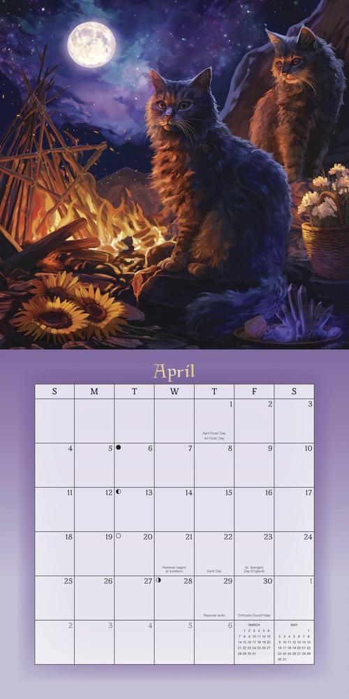 2027 Magical Mystical Cats Calendar
