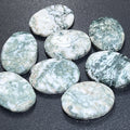 Tree Agate Cabochons Mixed Shapes And Sizes Bulk Wholesale Gemstone Jewelry Supply | Craft Supplies & Tools > Beads, Gems & Cabochons > Cabochons | Wiccan Center