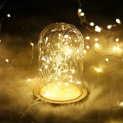 100 LED String Light Copper Wire - Warm White | LED Lights | Wiccan Center