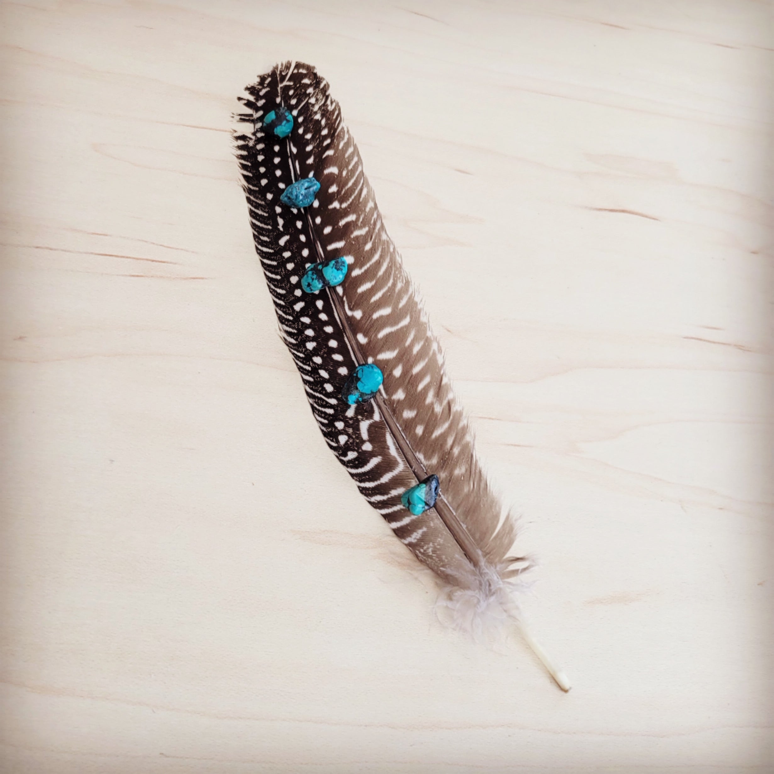 Spotted Turkey Feather Hat Accent w/ Turquoise Stones 954v | Hat Band | Wiccan Center