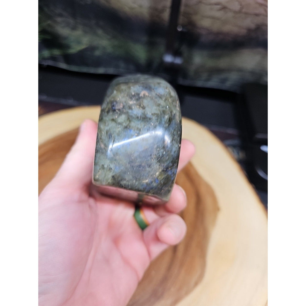 1.45LB 1Pcs Natural Rainbow Labradorite Crystal Spectrolite Stone