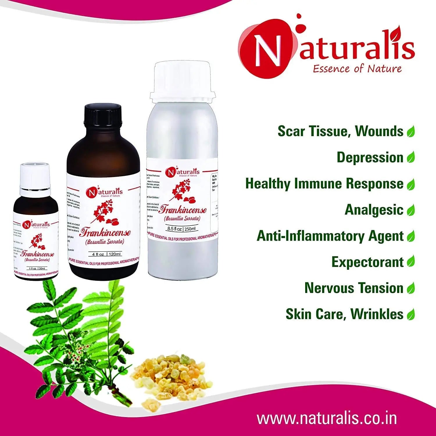 Naturalis Essence of Nature Frankincense Essential Oil | Naturalis | Wiccan Center