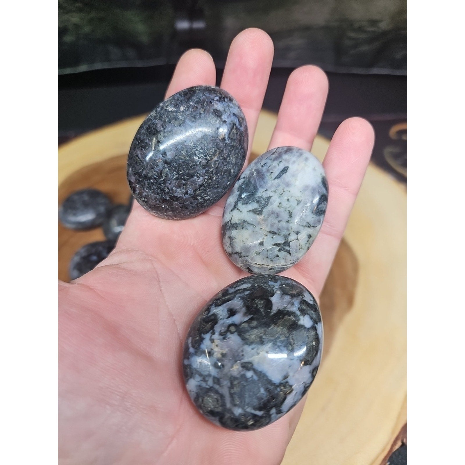 5Pcs Natural Polychrome Merlinite Gabbro Crystal Palm Stone | Palm Stones & Tumbled Crystals | Wiccan Center