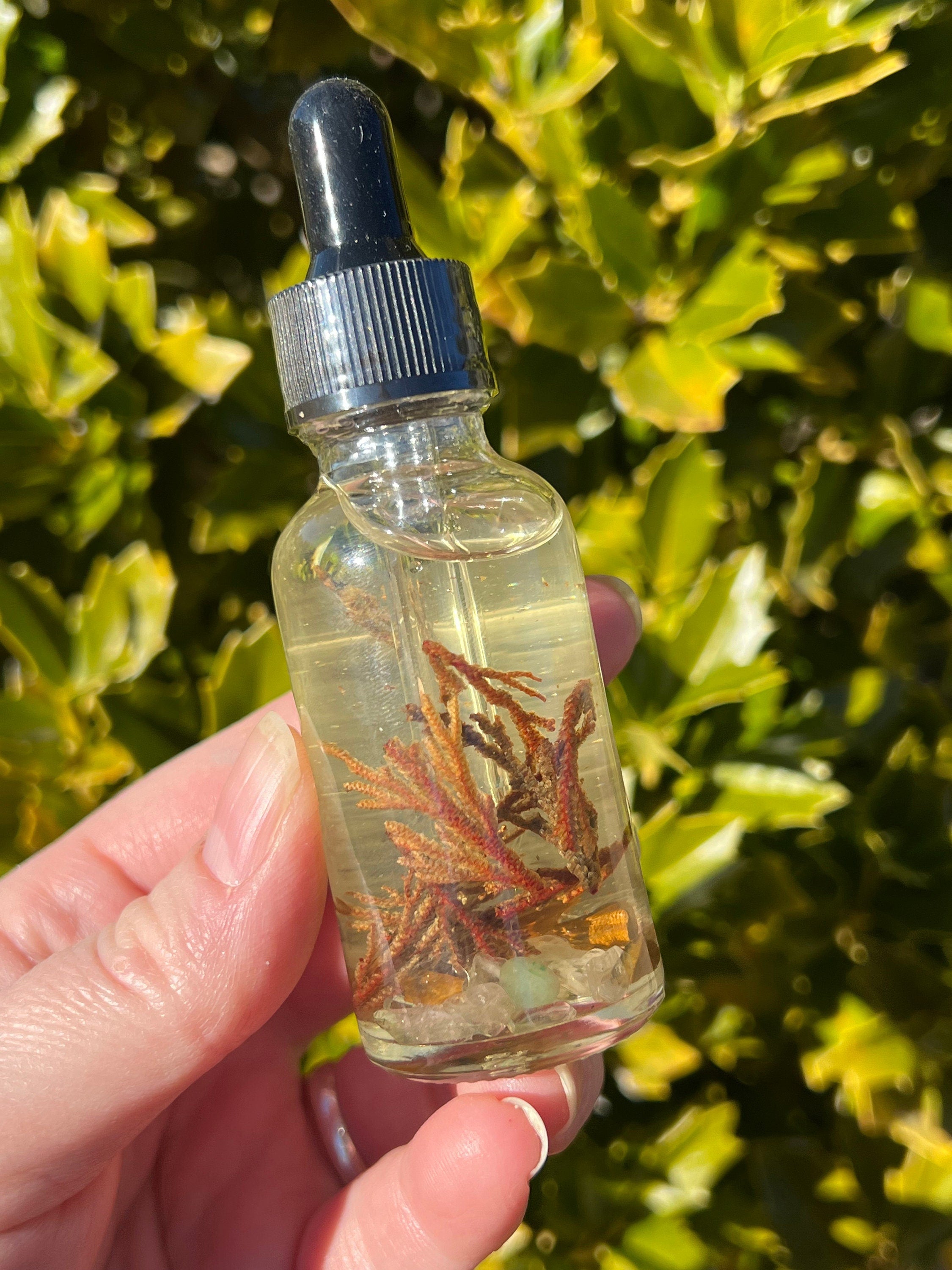 Rose of Jericho Ritual Oil | The Resurrection Plant | Witch Protection Manifestation New Beginnings Lucky Empath Spell Magickal Altar Tool | | Wiccan Center