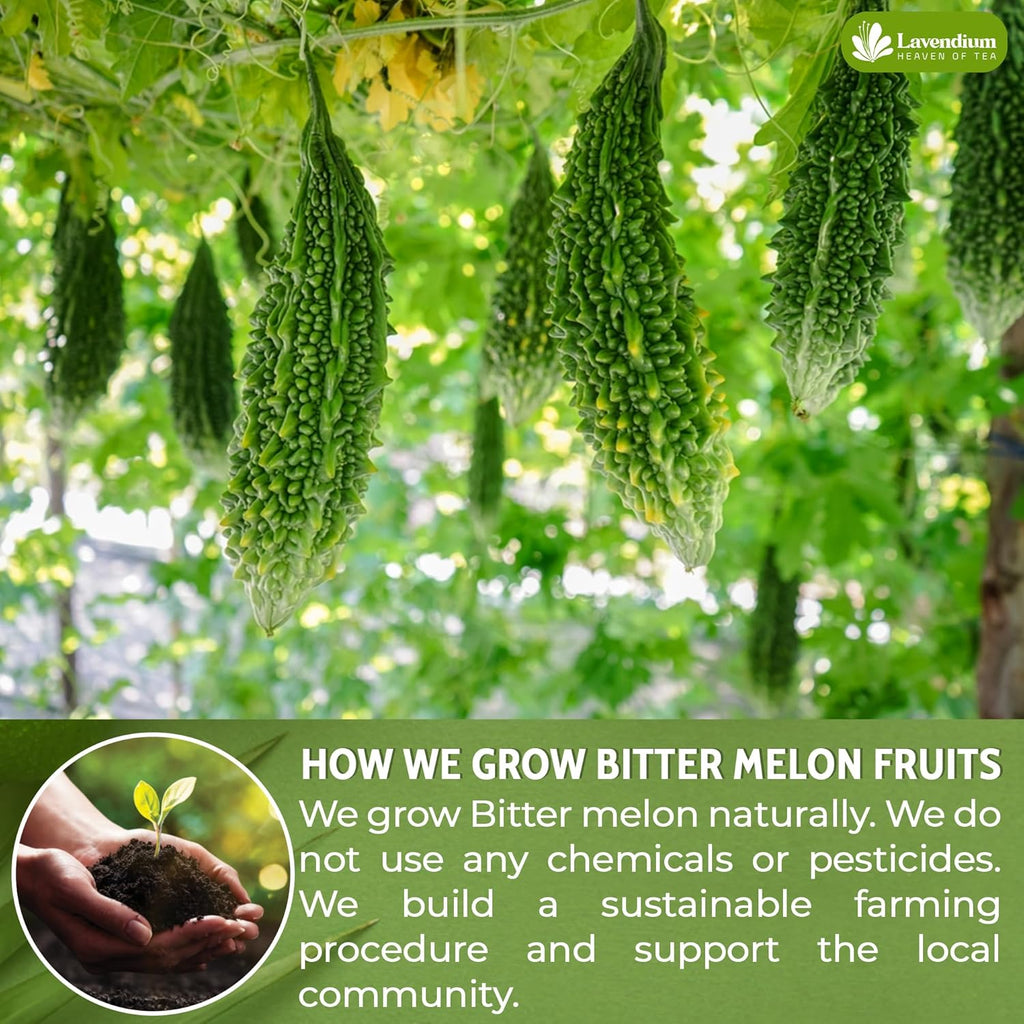 Bitter Melon Tea Bags, 100% Natural, Pure Bitter Melon. Bitter Melon Herbal Tea. Bitter Melon Fruit Tea. No Sugar, No Caffeine, No Gluten, Vegan | Tea | Wiccan Center