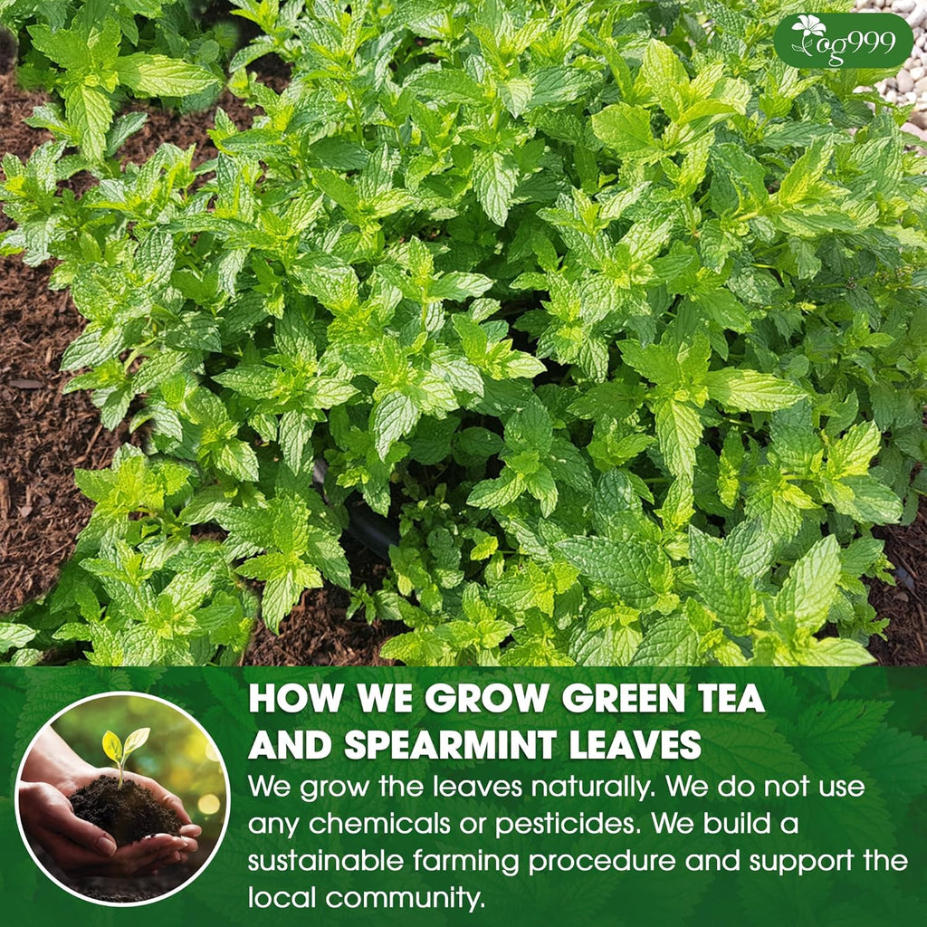 Premium Moroccan Mint Green Tea | Traditional Green Tea with Spearmint – Premium Quality Herbal Blend. | Tea | Wiccan Center