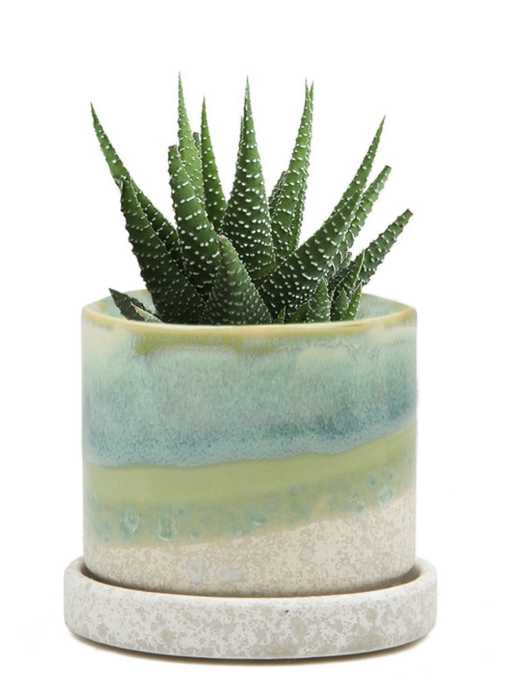 Cement Green Ceramic Plant Pot and Saucer | plant pot | Wiccan Center