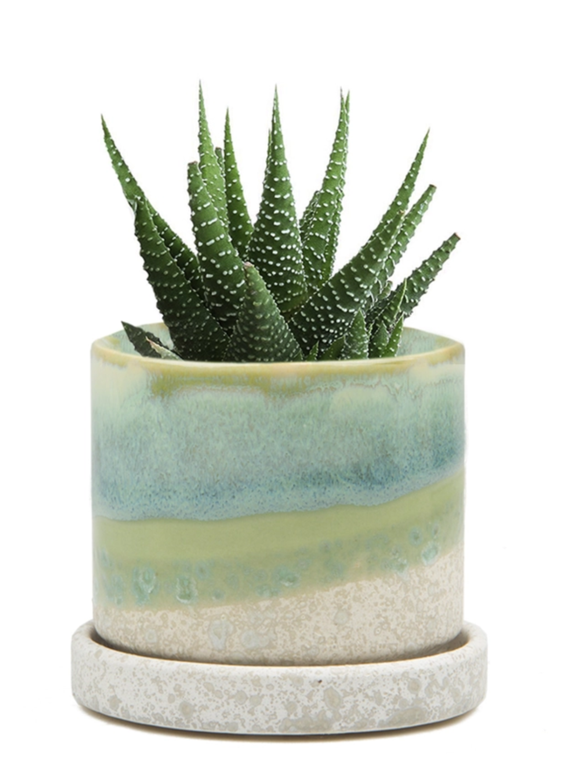 Cement Green Ceramic Plant Pot and Saucer | plant pot | Wiccan Center
