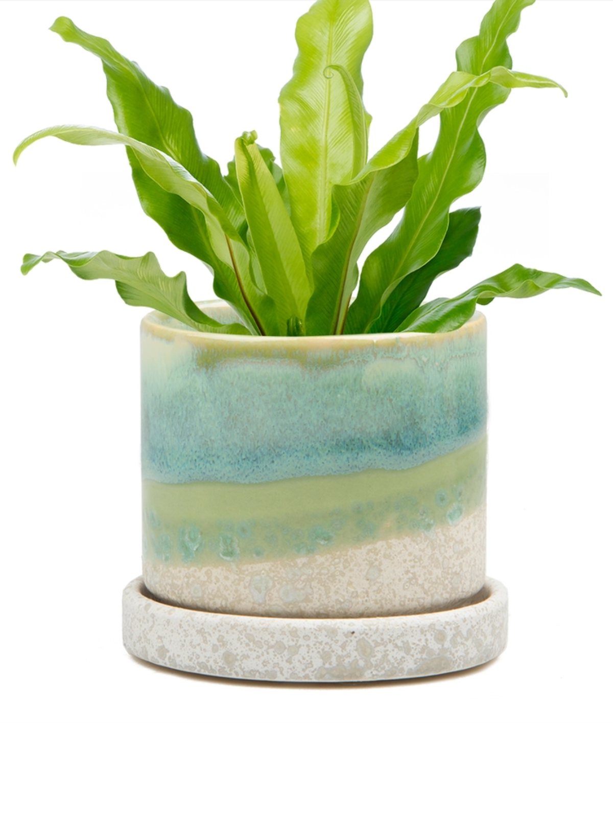 Cement Green Ceramic Plant Pot and Saucer | plant pot | Wiccan Center
