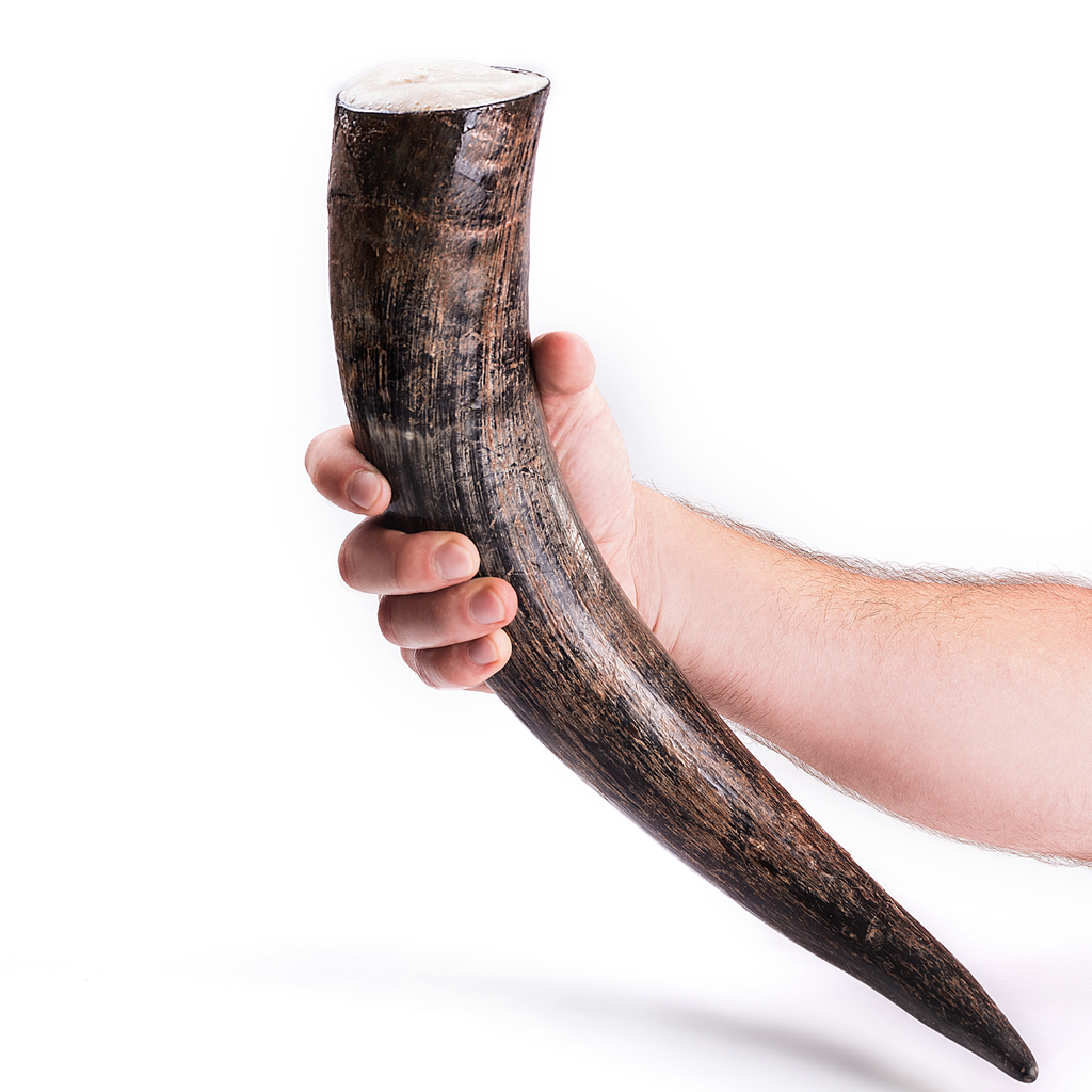 Viking Drinking Horn – Ox Horn with Wooden Stand