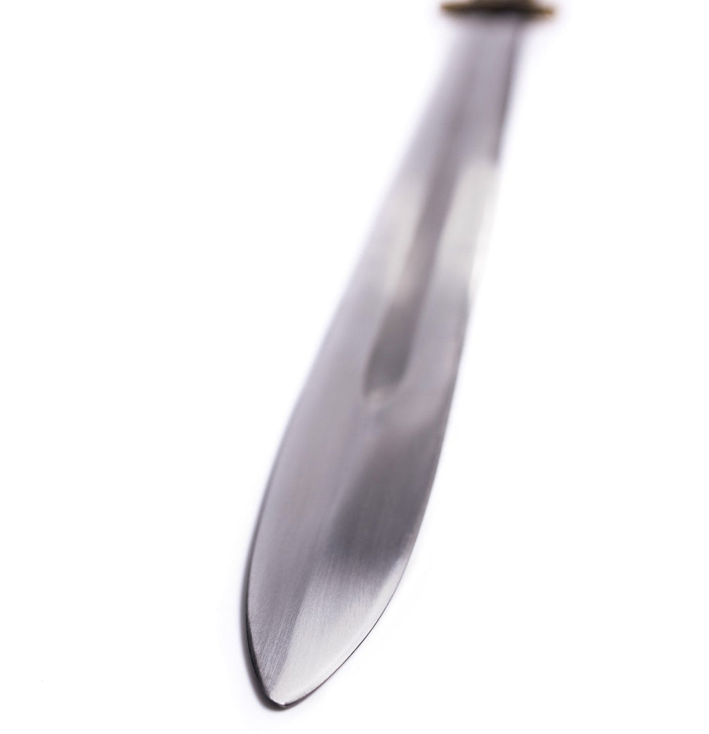 Viking Sword "Eldbroti" – Spring Steel Replica | Armory | Wiccan Center