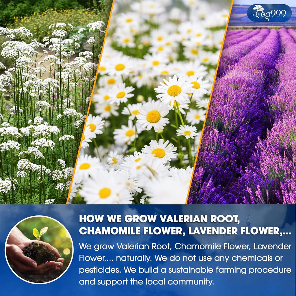 Premium Valerian Tea, Made From Valerian Root, Chamomile flower, Lavender flower Loose Leaf Herbal Tea. Made with Natural Material Tea Bags. No Sugar, No Caffeine, No Gluten, Vegan. | Tea | Wiccan Center