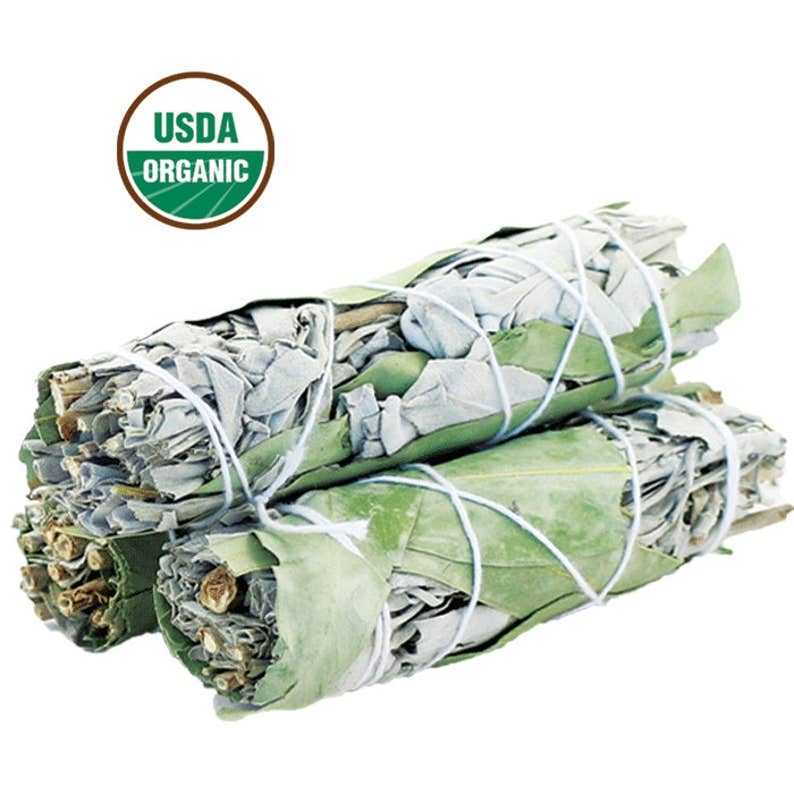 White Sage & Eucalyptus Smudge Stick (4 in.) | Smudge Sticks | Wiccan Center