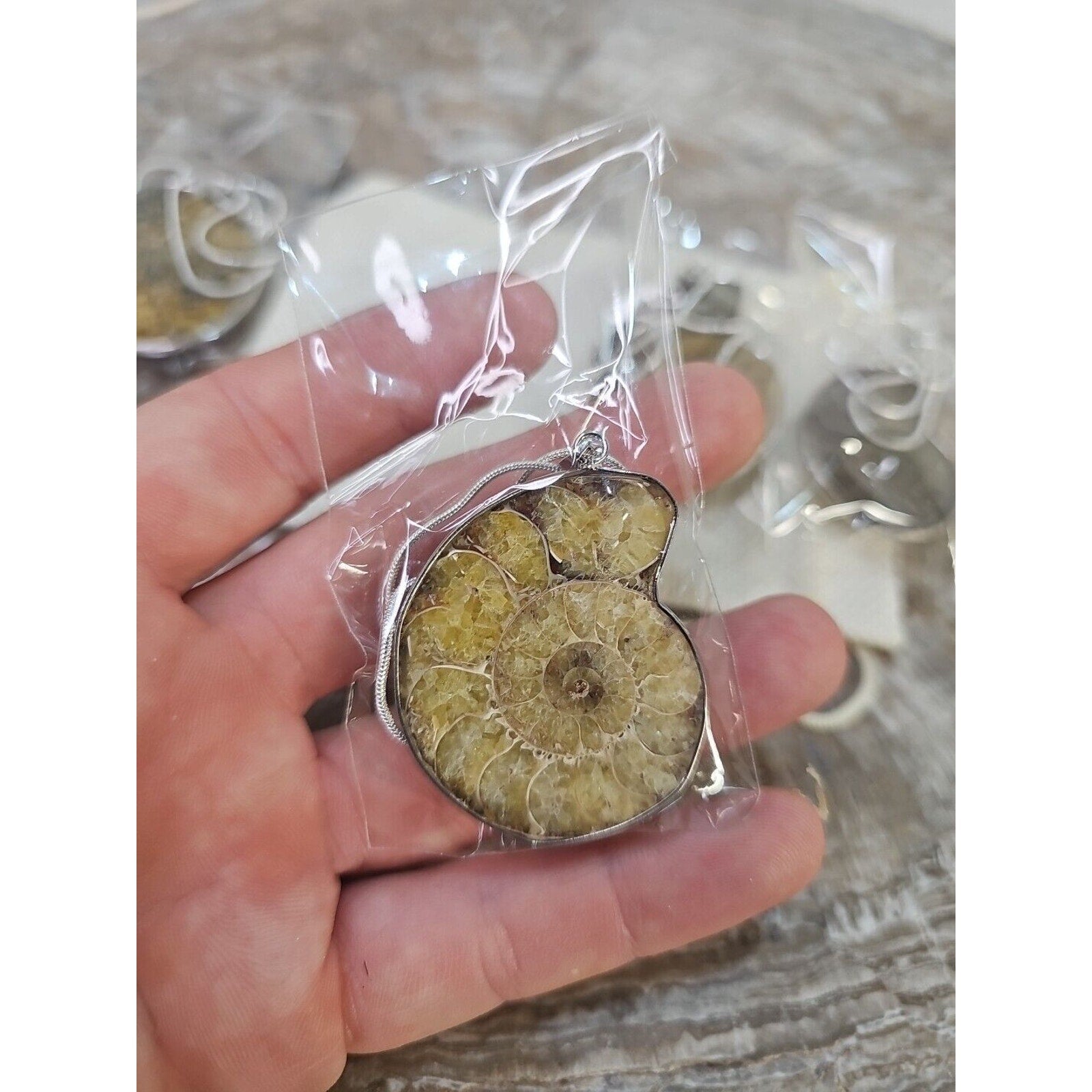 Ammonite Fossil Pendant Necklace — Handmade with 18-inch Silver Chain | CrystalCloud Company