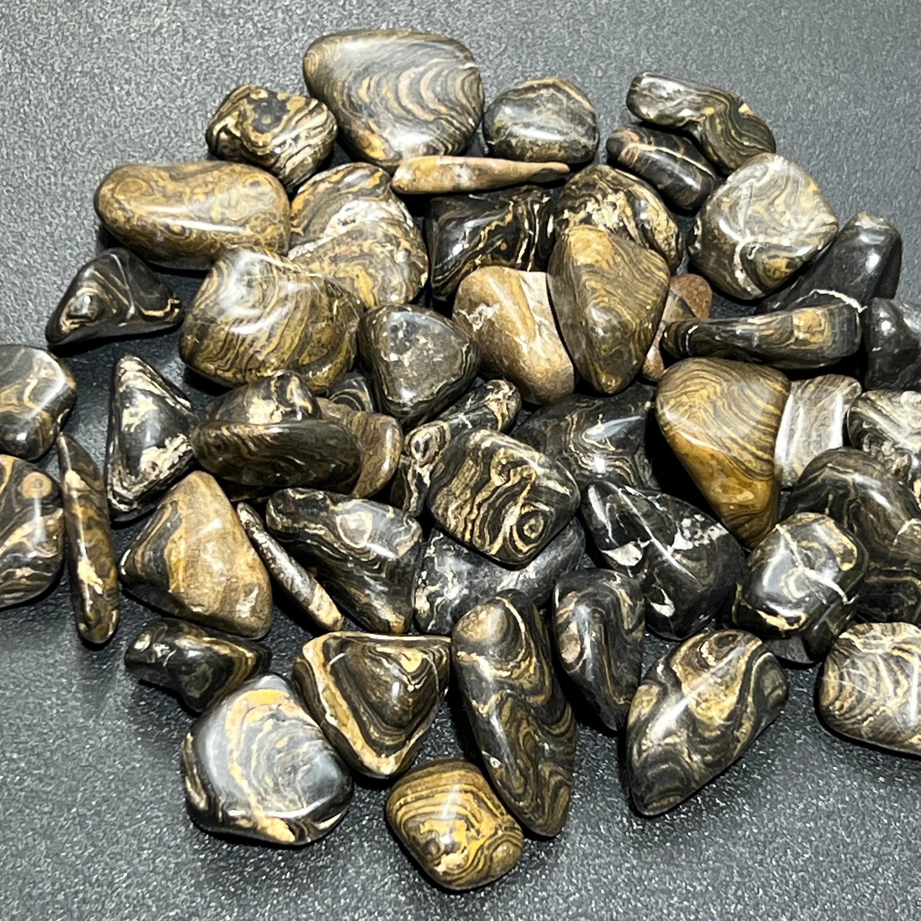 Stromatolite Fossil Tumbled Stones (By The Piece or Pound) | Home & Living > Home Decor > Home Accents > Rocks & Geodes | Wiccan Center