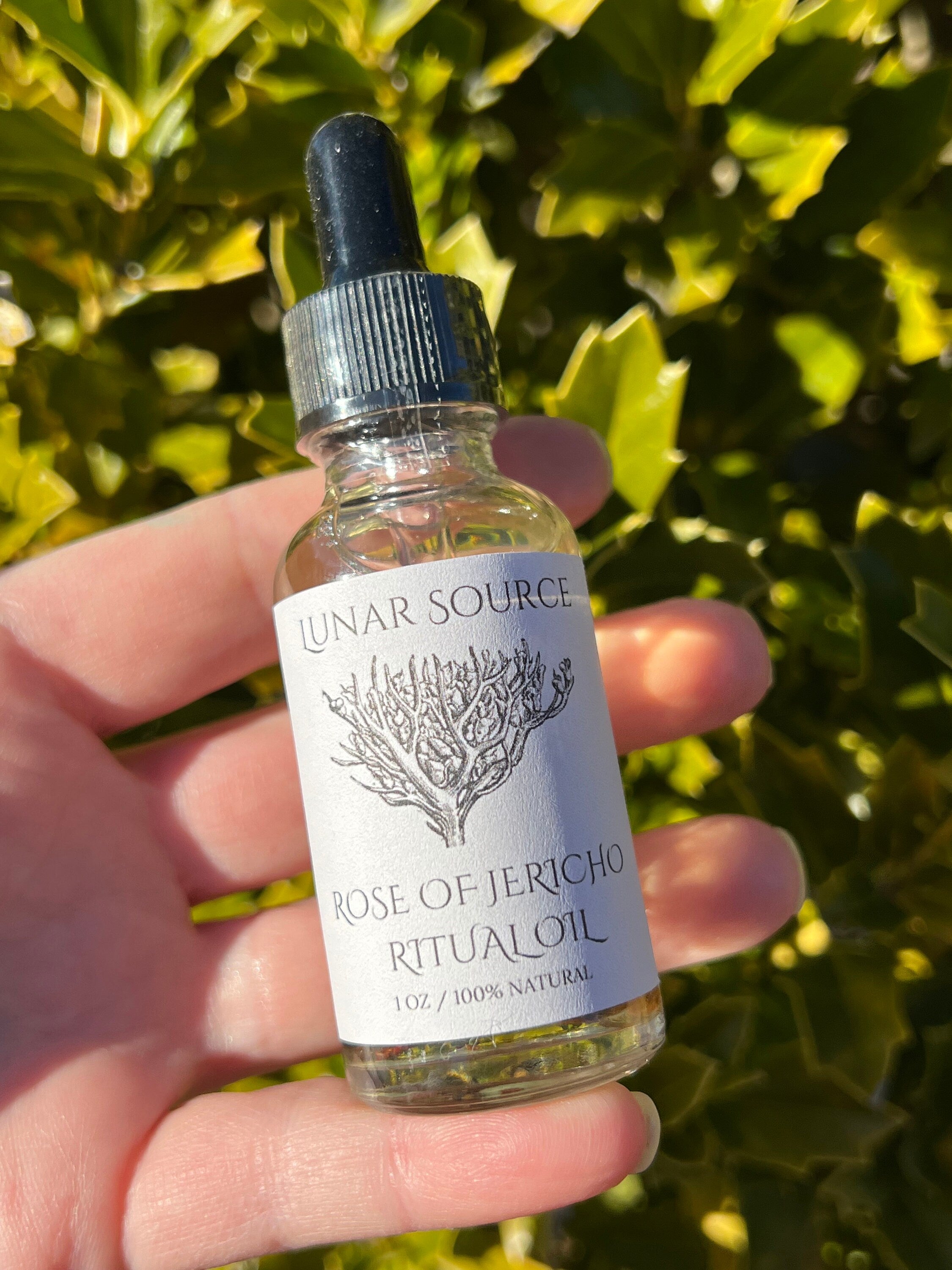 Rose of Jericho Ritual Oil | The Resurrection Plant | Witch Protection Manifestation New Beginnings Lucky Empath Spell Magickal Altar Tool | | Wiccan Center