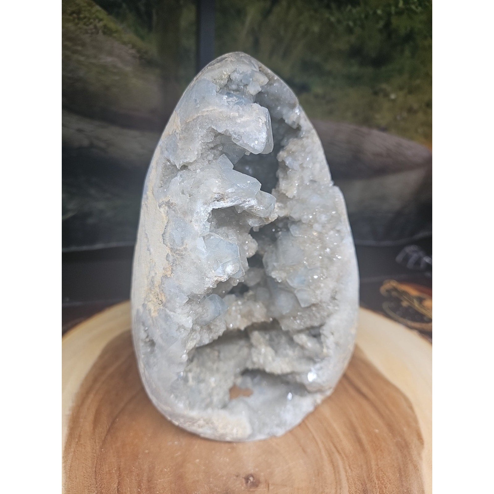 Large Baby Blue Celestite Geode Cluster — 13.6 lbs, 8 inches, Brazil | CrystalCloud Company | Geodes & Clusters | Wiccan Center