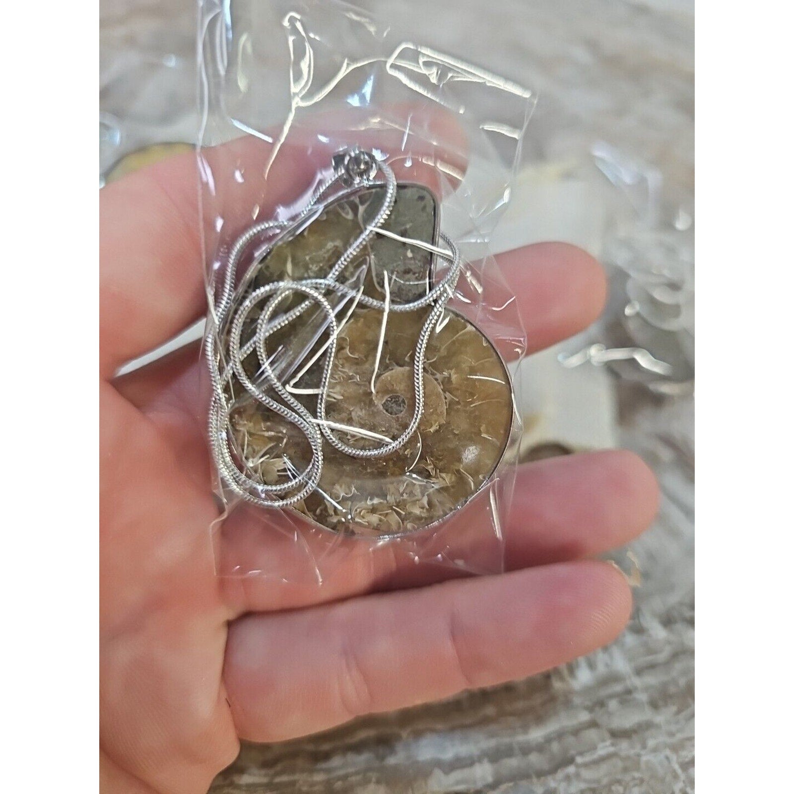 Ammonite Fossil Pendant Necklace — Handmade with 18-inch Silver Chain | CrystalCloud Company