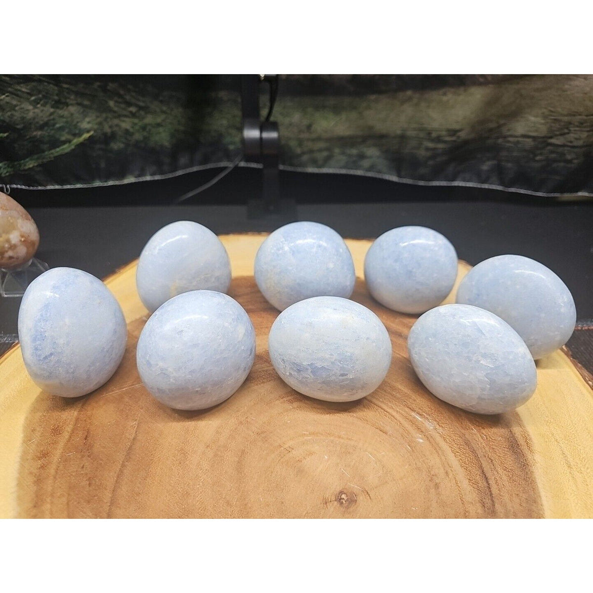 Baby Blue Celestite Crystal Palm Stones — 1 lb, 2-Piece Set from Brazil | Palm Stones & Tumbled Crystals | Wiccan Center
