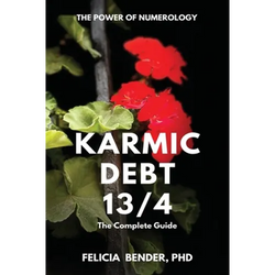 The Power of Numerology: Karmic Debt 13/4 - Paperback | Books | Wiccan Center