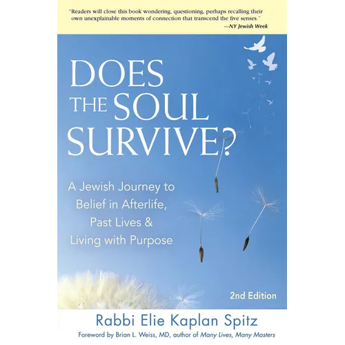 Does the Soul Survive? (2nd Edition): A Jewish Journey to Belief in Afterlife, Past Lives & Living with Purpose - Hardcover | Books | Wiccan Center