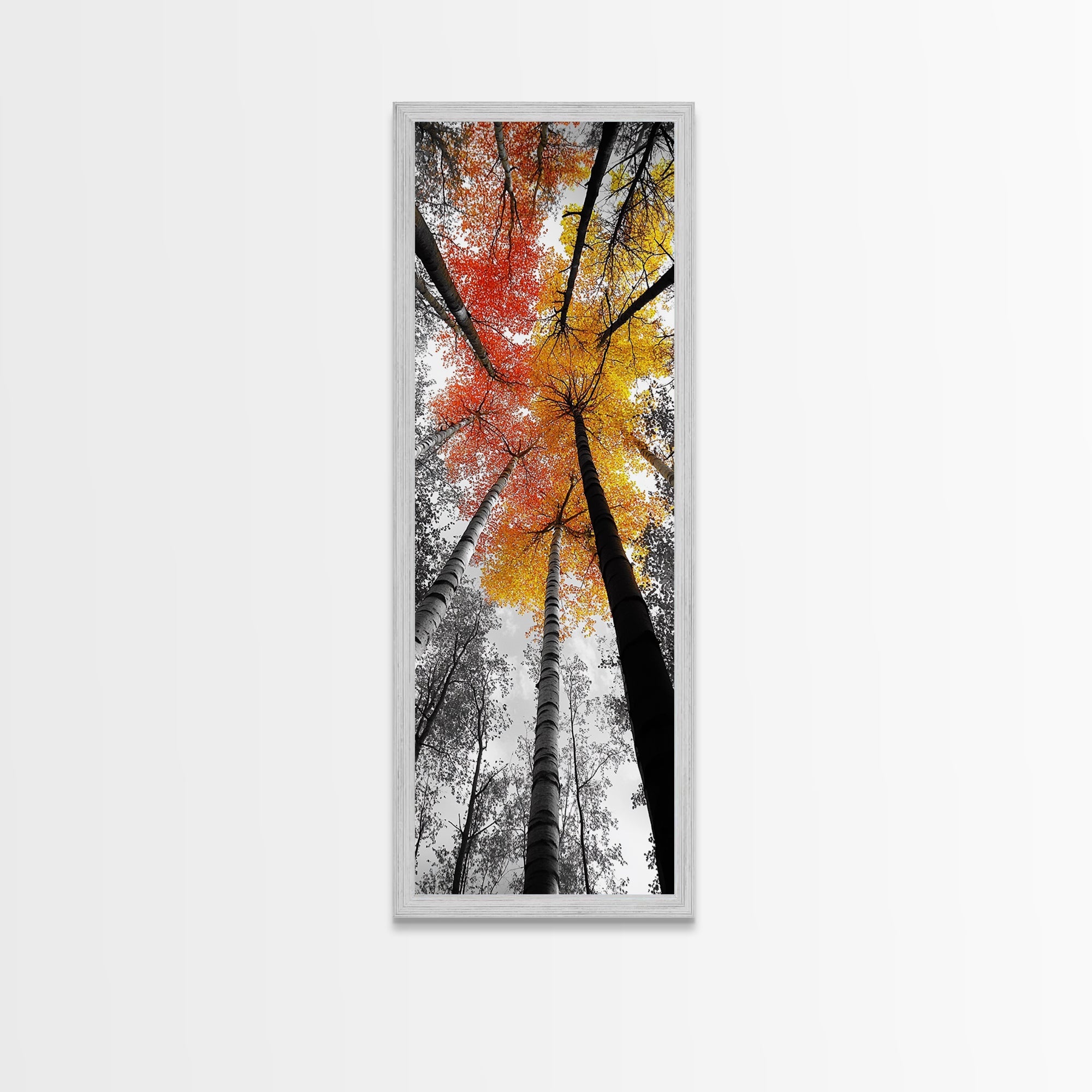 Autumn Trees, Birch Forest, Fall Canopy Print, Nature Photography, Canvas Print, Living Room Decor, Color Pop Wall Art, Forest Magic