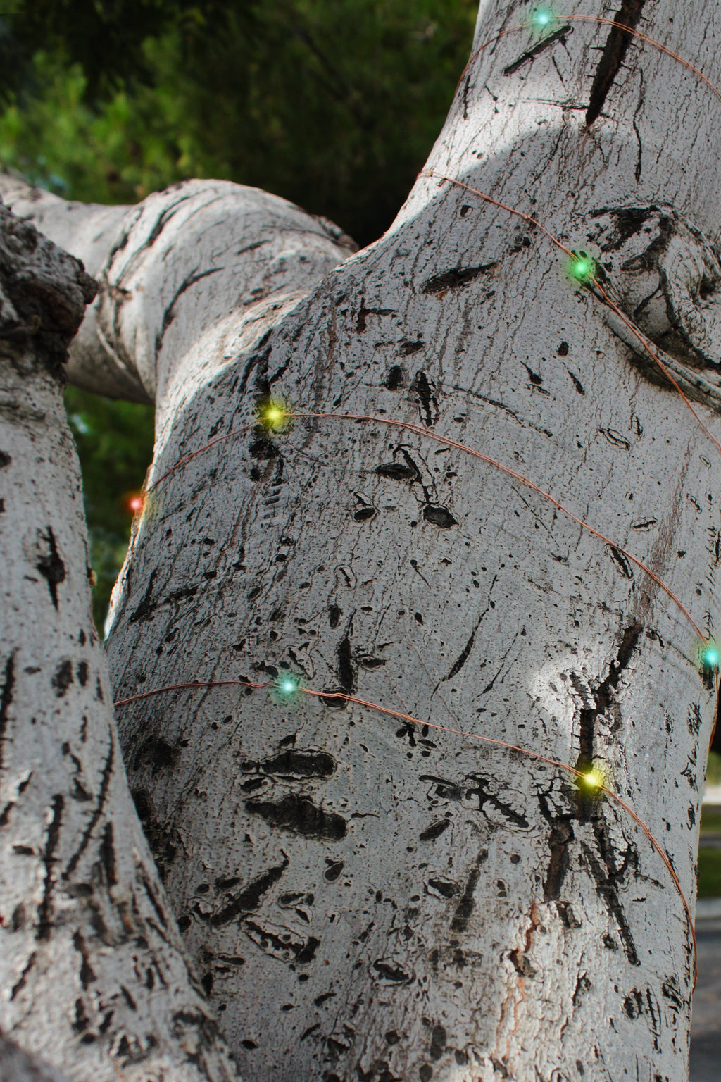 Solar Powered 200 LED 72ft Copper Wire Fairy Light 72' - 8 Light Modes | | Wiccan Center