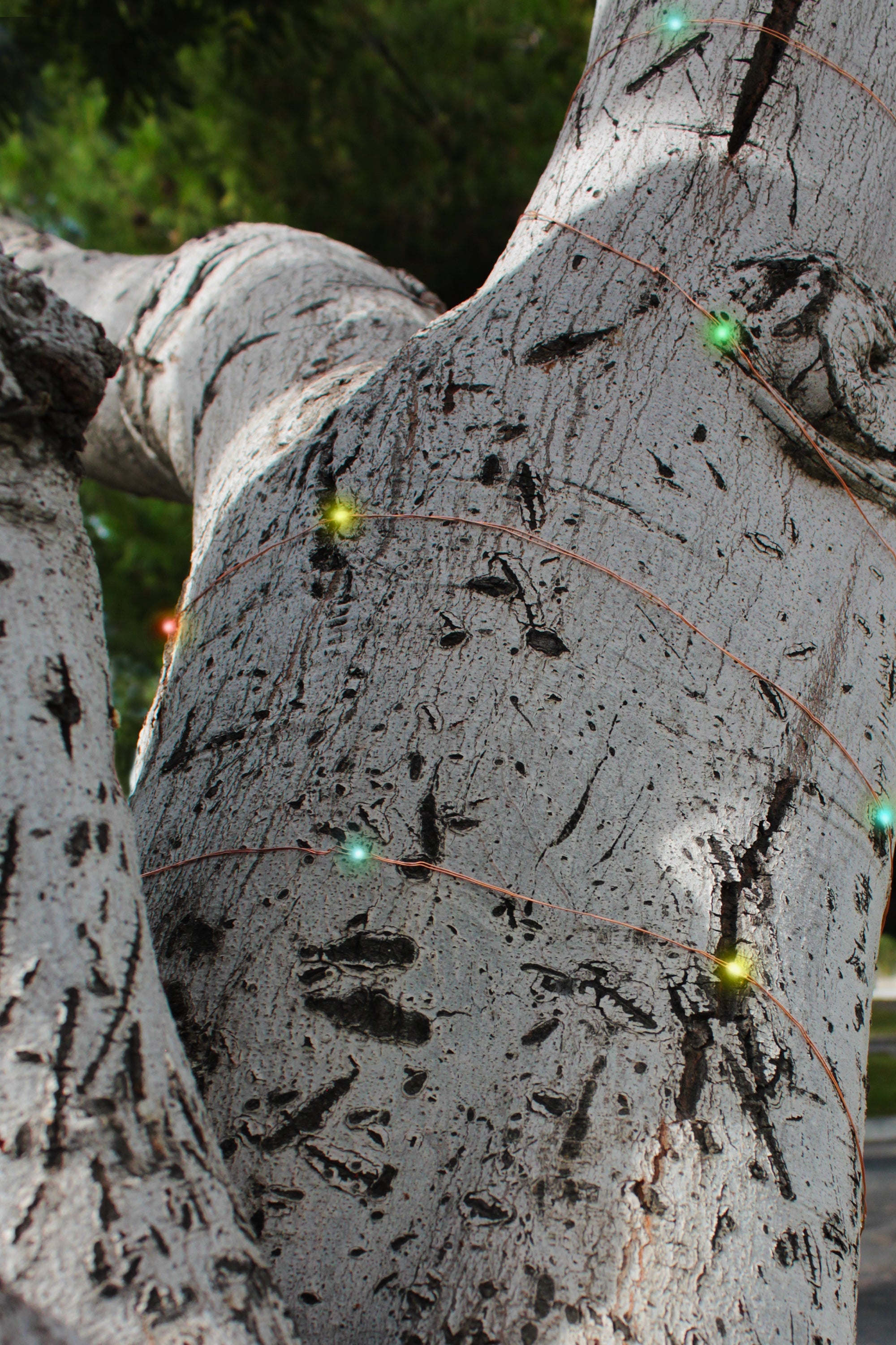 Solar Powered 200 LED 72ft Copper Wire Fairy Light 72' - 8 Light Modes | | Wiccan Center