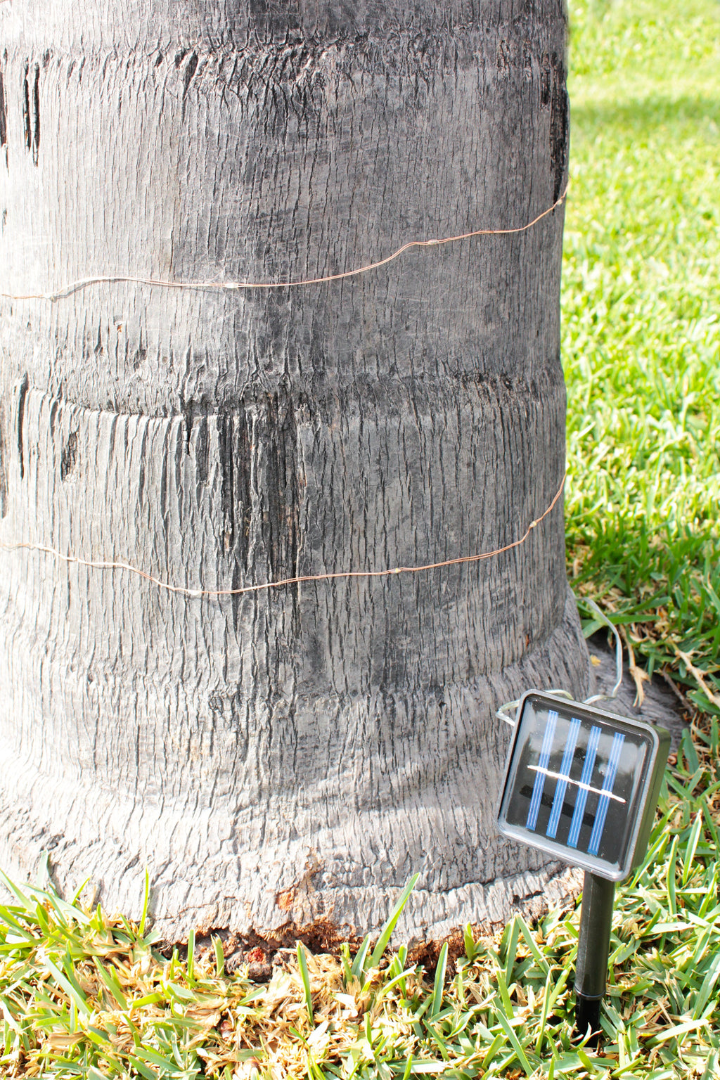Solar Powered 200 LED 72ft Copper Wire Fairy Light 72' - 8 Light Modes | | Wiccan Center