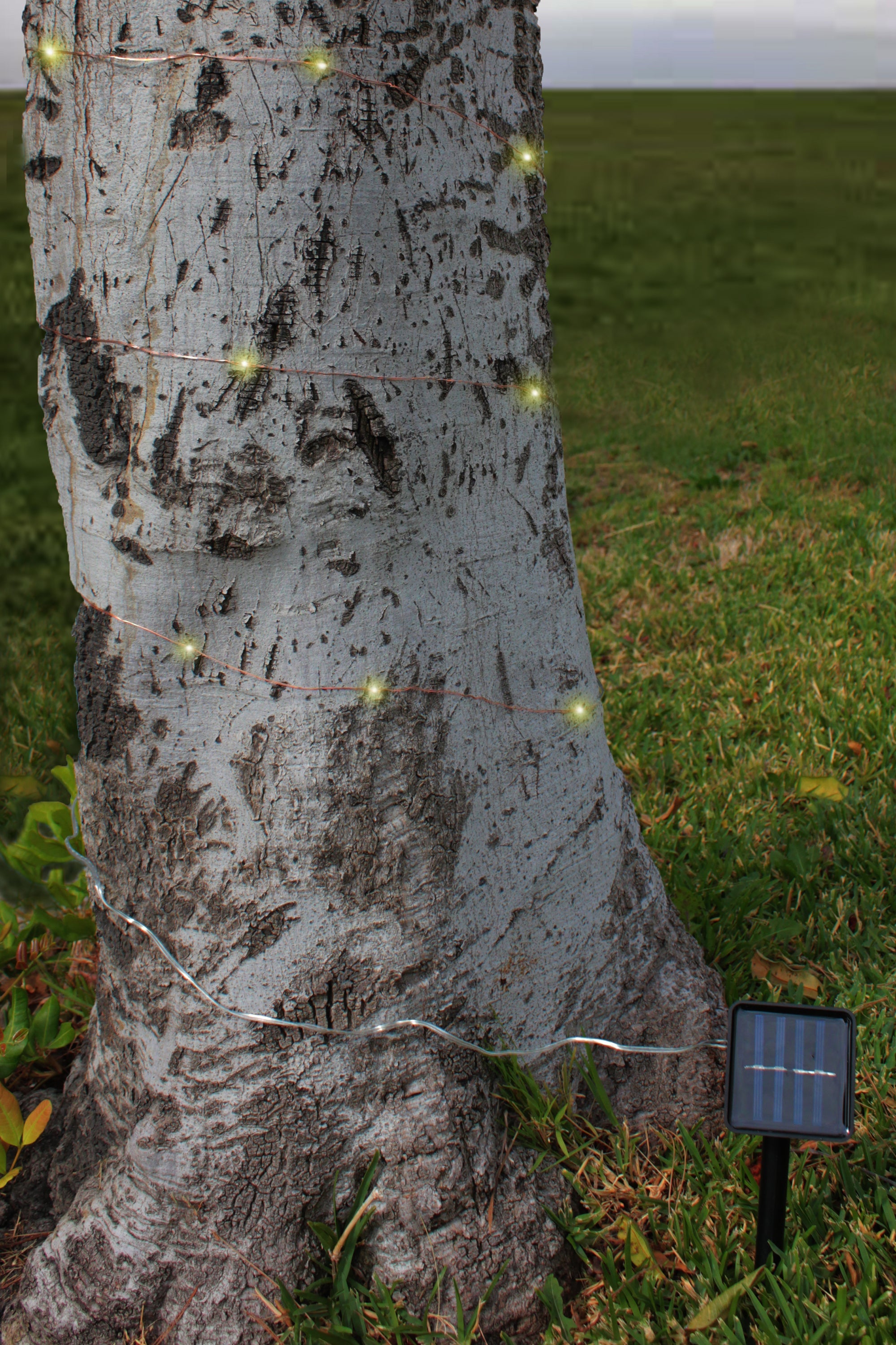 Solar Powered 200 LED 72ft Copper Wire Fairy Light 72' - 8 Light Modes | | Wiccan Center
