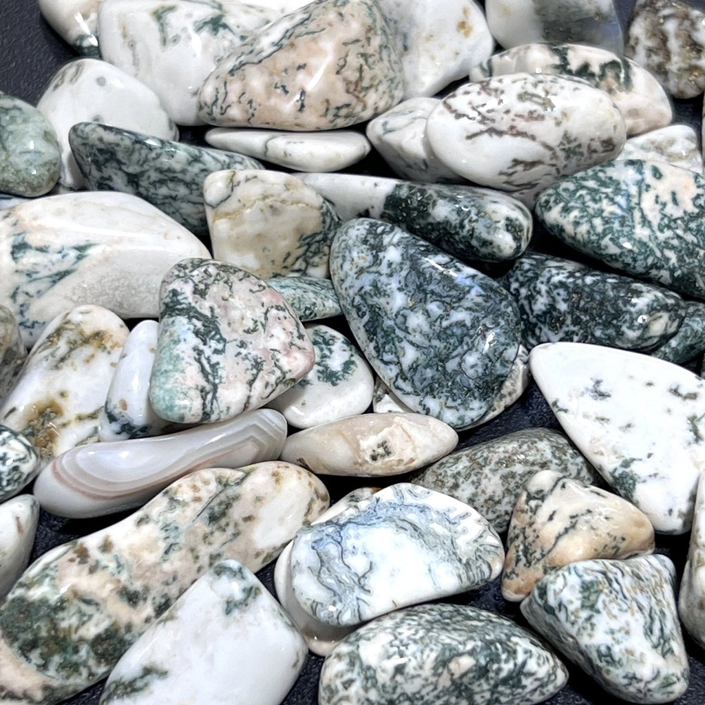 Tree Agate Tumbled Stones (By The Piece Or Pound) Bulk Wholesale Lot Polished Gemstones | Home & Living > Home Decor > Home Accents > Rocks & Geodes | Wiccan Center