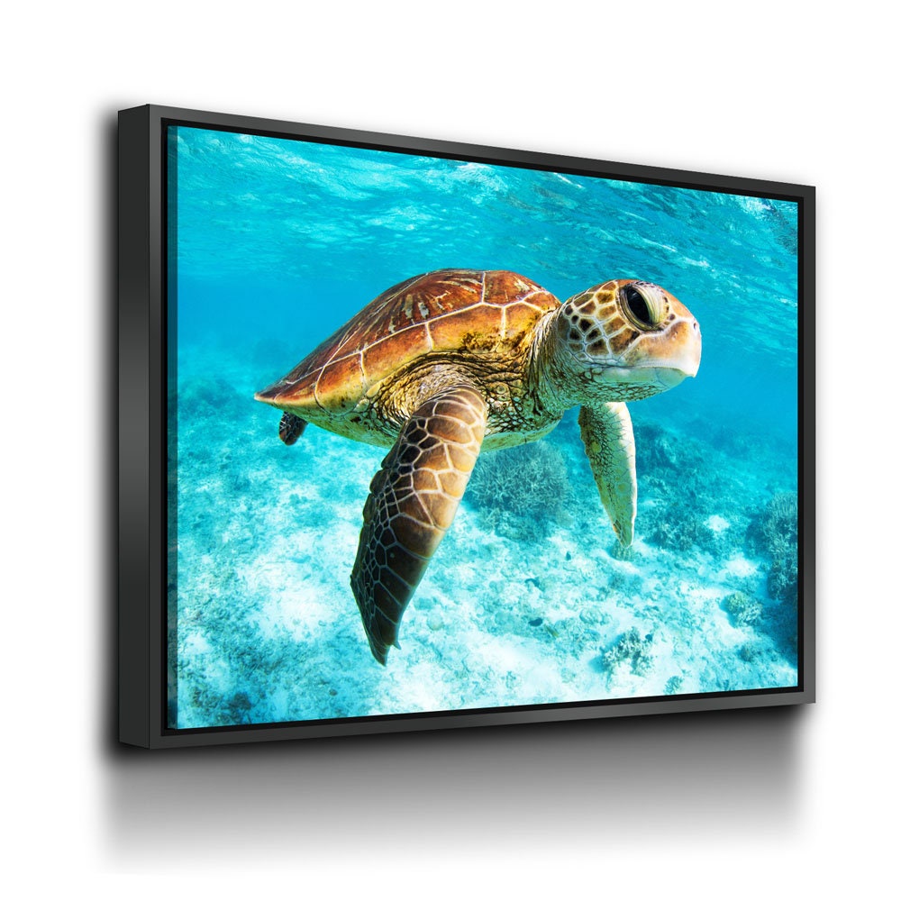 Underwater Sea Turtle Canvas Wall Art, Sea Turtle Canvas, Turtle Decor, Chelonioidea | Wall Art | Wiccan Center