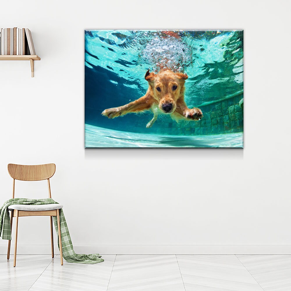 Golden Labrador Retriever Canvas Wall Art, Diving Under Water, Swimming Pool, Dog Gift, Golden Lab Print, Dog In Water | Wall Art | Wiccan Center