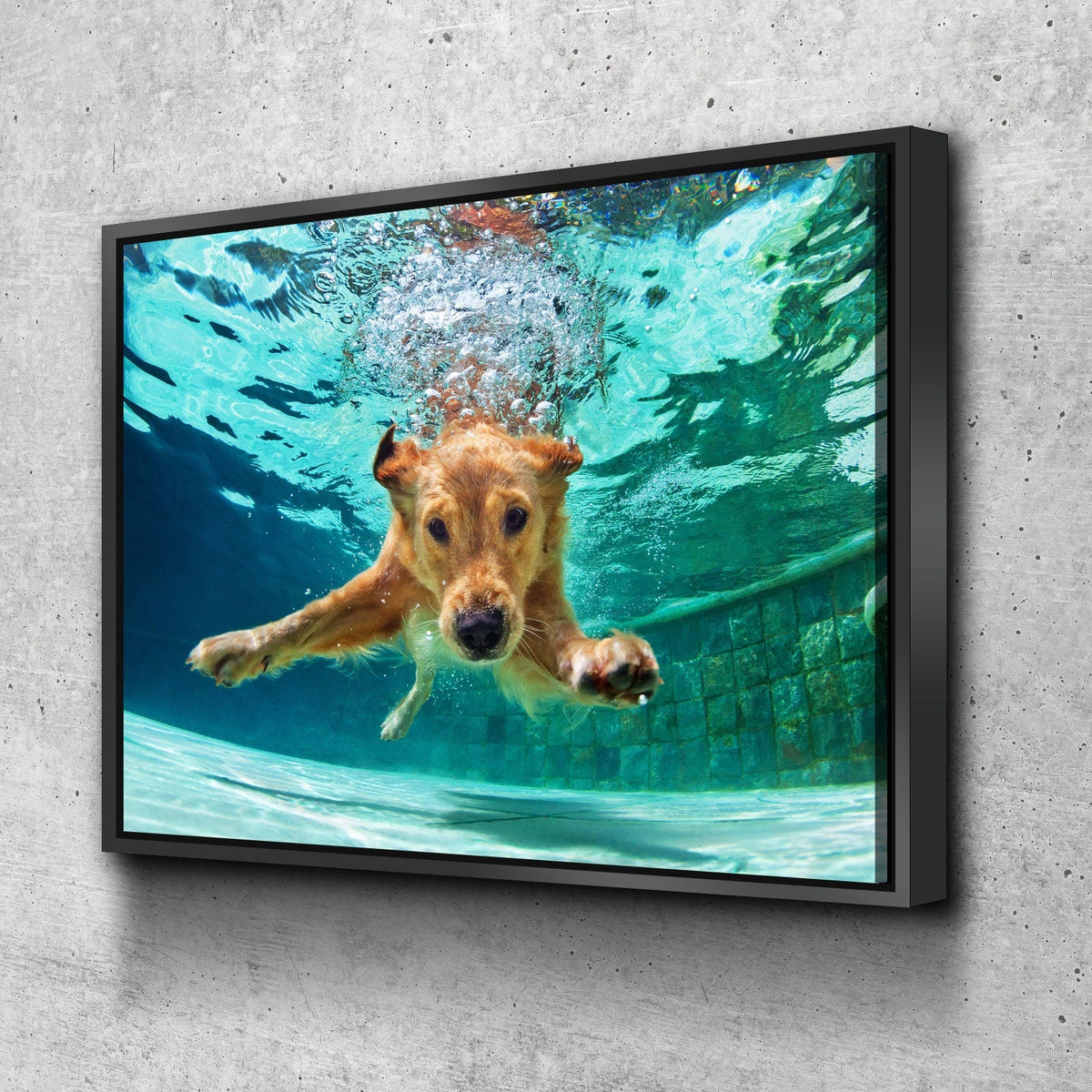 Golden Labrador Retriever Canvas Wall Art, Diving Under Water, Swimming Pool, Dog Gift, Golden Lab Print, Dog In Water | Wall Art | Wiccan Center