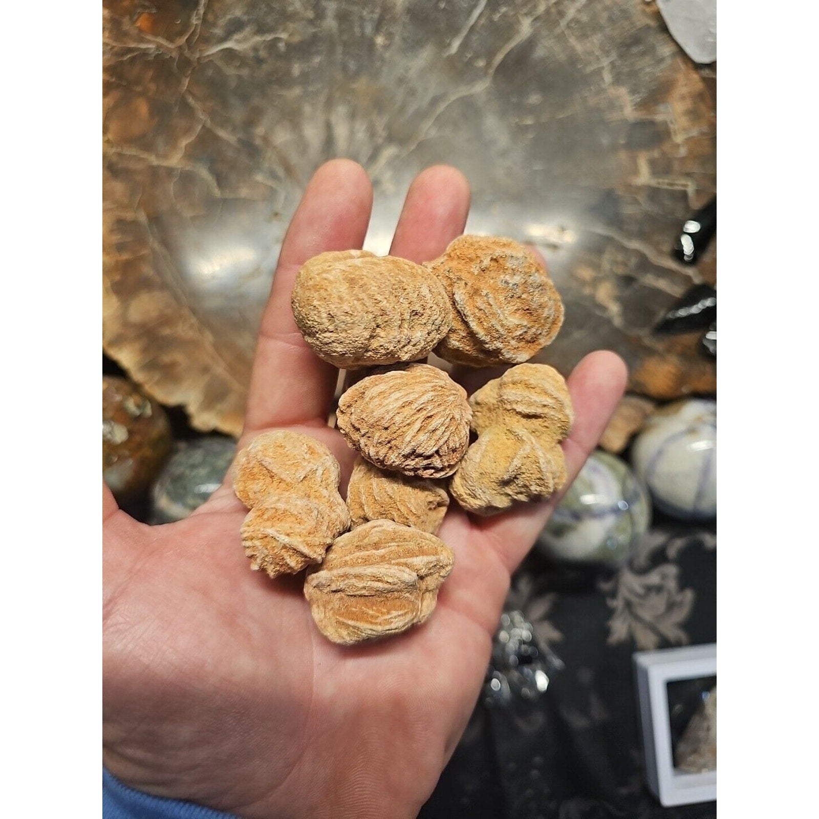 Desert Rose Selenite Mineral Specimen — Clarity & Stress Relief Crystal | CrystalCloud Company