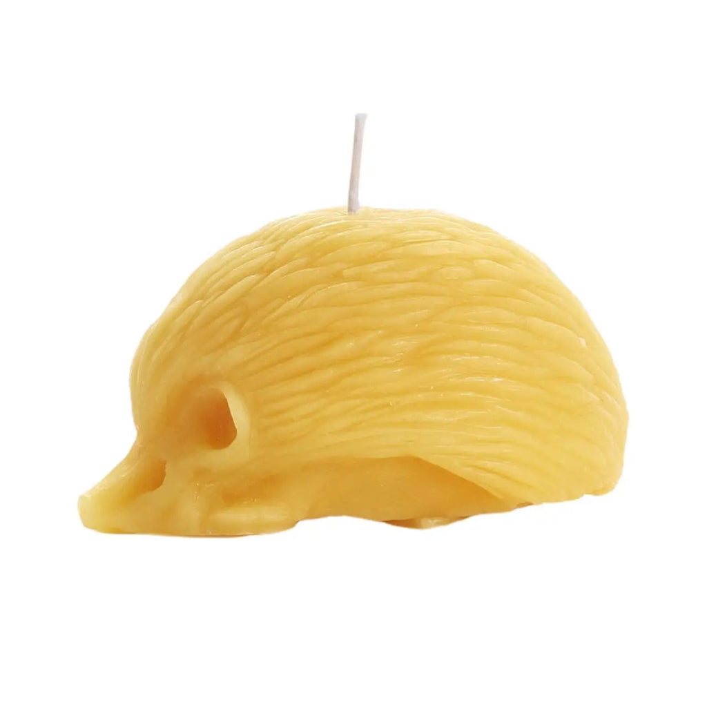 Hedgehog Candle – 100% Pure Beeswax – Handcrafted | | Wiccan Center