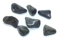 Tumbled Dragon Bloodstone | Crystals & Minerals > Specimens | Wiccan Center