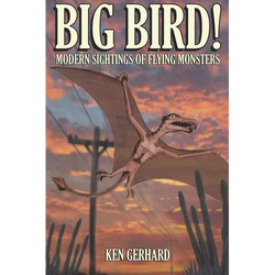 Big Bird! - Modern Sightings of Flying Monsters - Paperback | Books | Wiccan Center