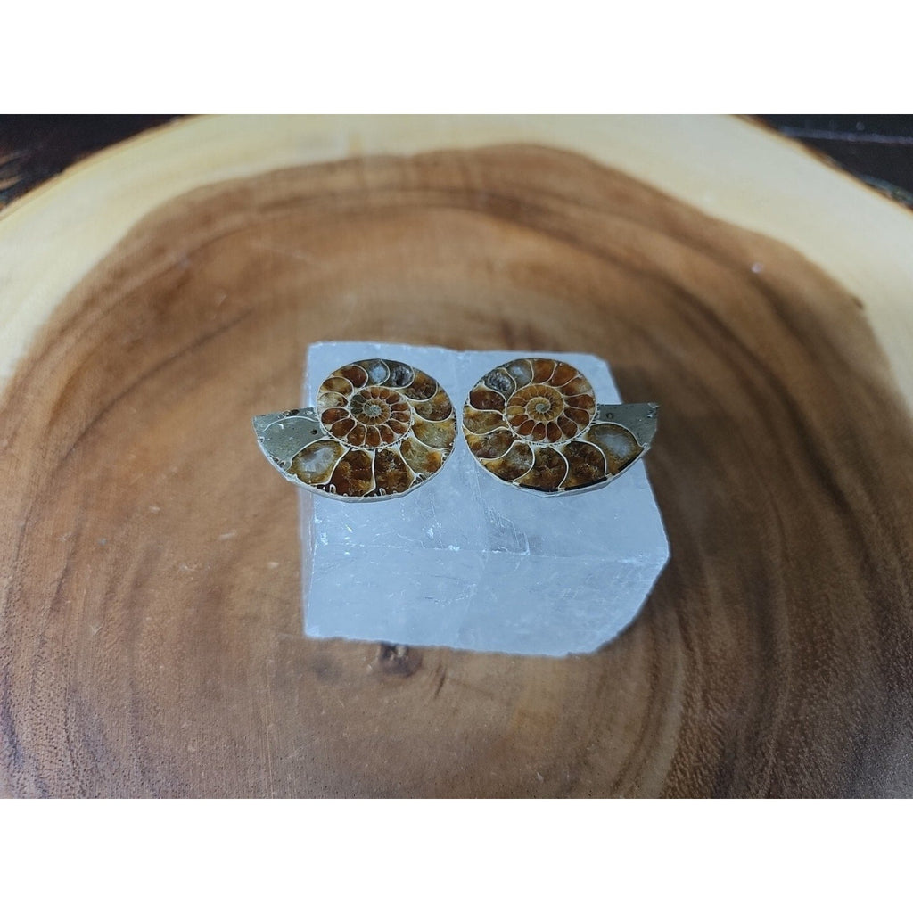 Ammonite Fossil W/Selenite Base 260g