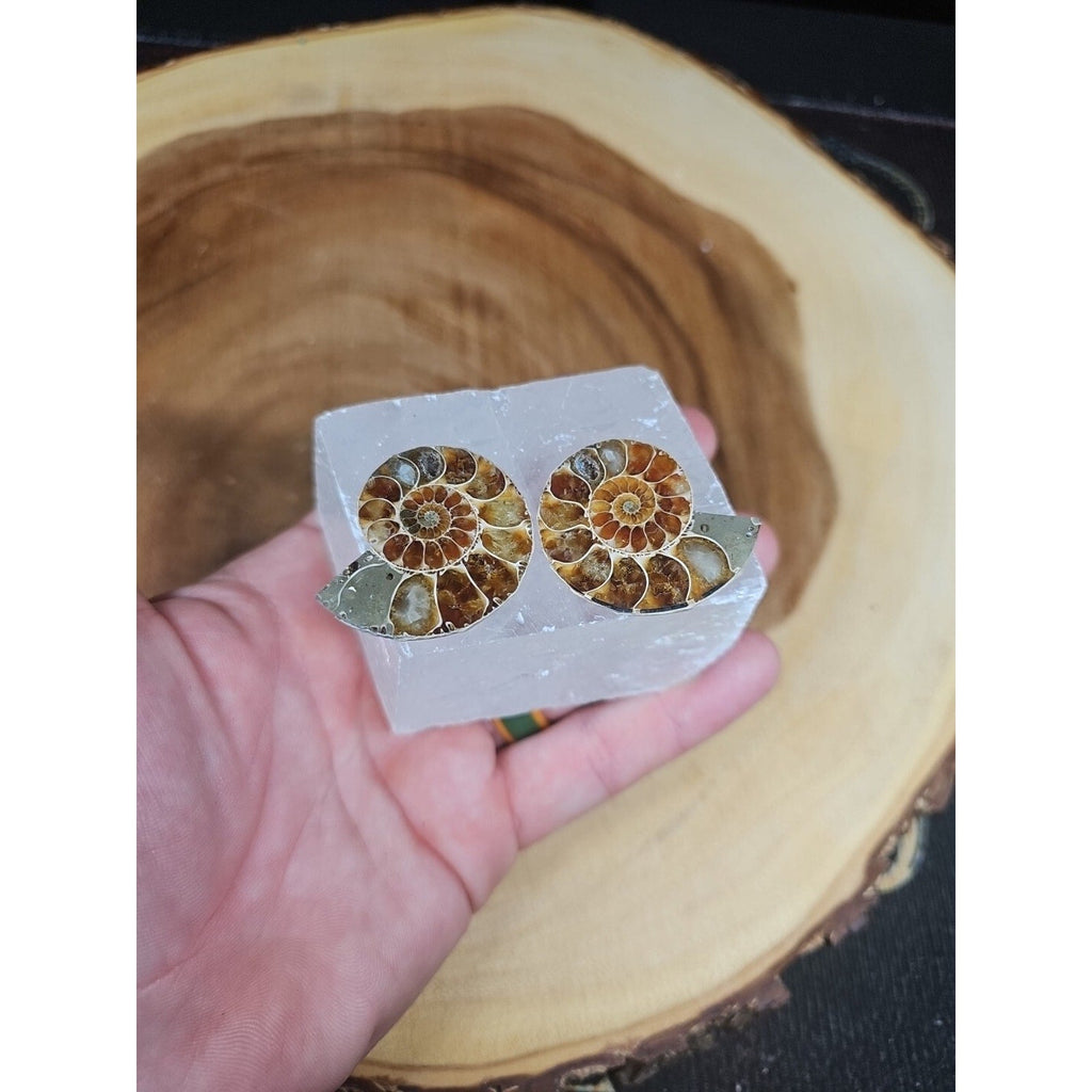Ammonite Fossil W/Selenite Base 260g